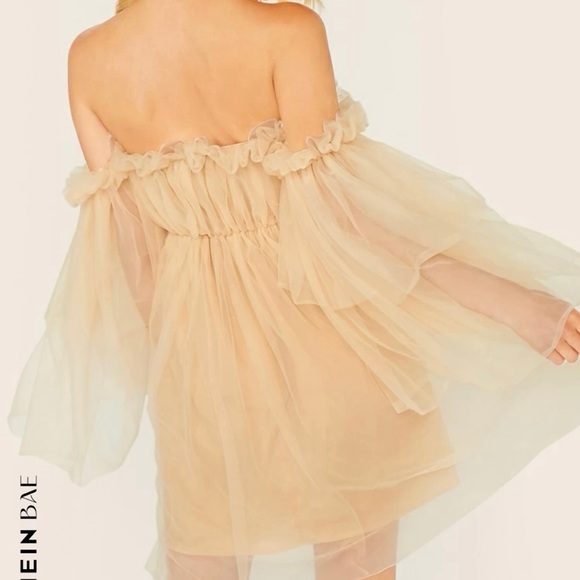 Off Shoulder Ruffle Mesh Dress - Picture 4 of 10